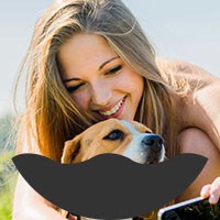 Köpekgiller