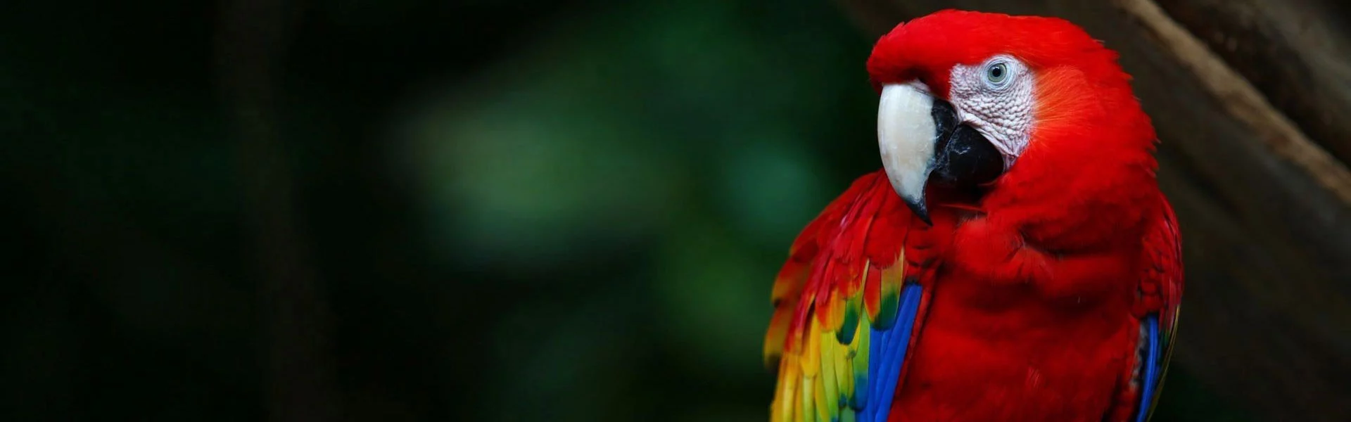 3-3-slider-natural-life.webp